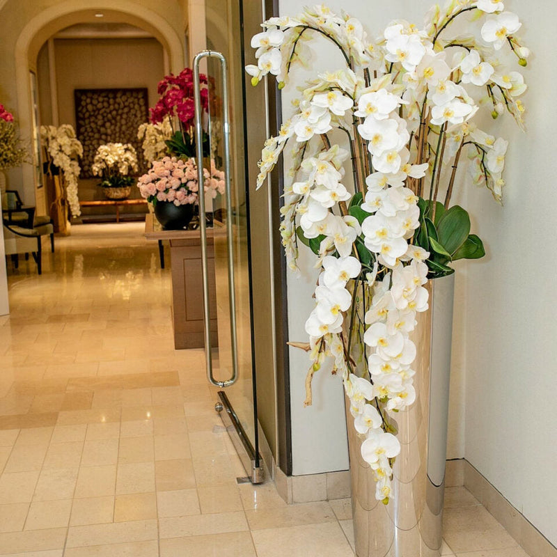 Orquídeas Phalaenopsis em Cascata em Cone Cônico Polido de Aço Inoxidável